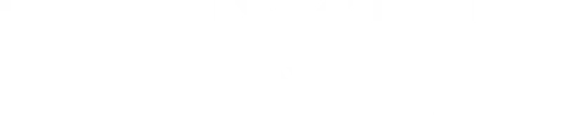 Platform logo