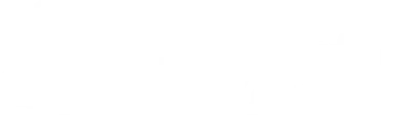 Platform logo
